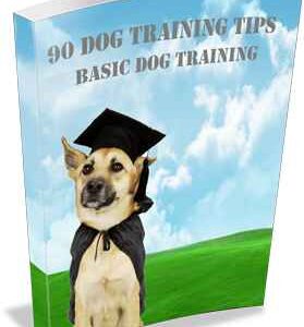 90 Expert Dog Training Tips for Every Owner