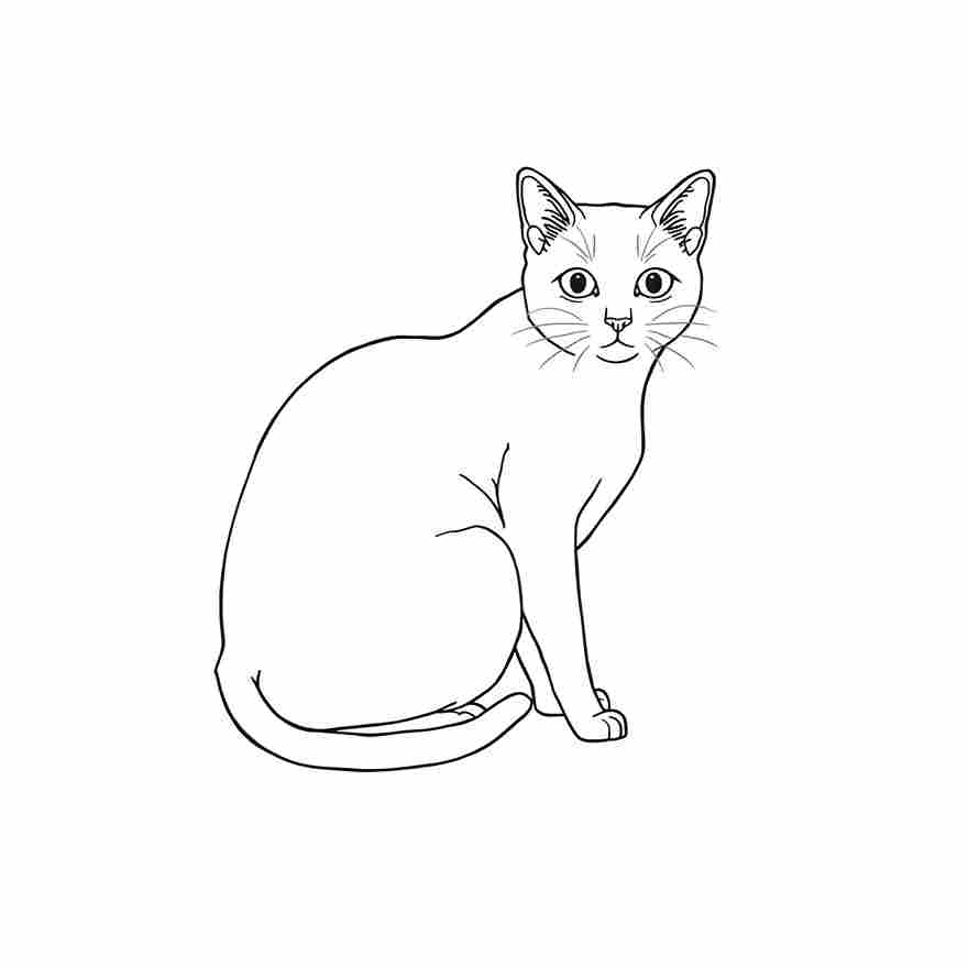 50 Black & White Halloween pages - Image 3