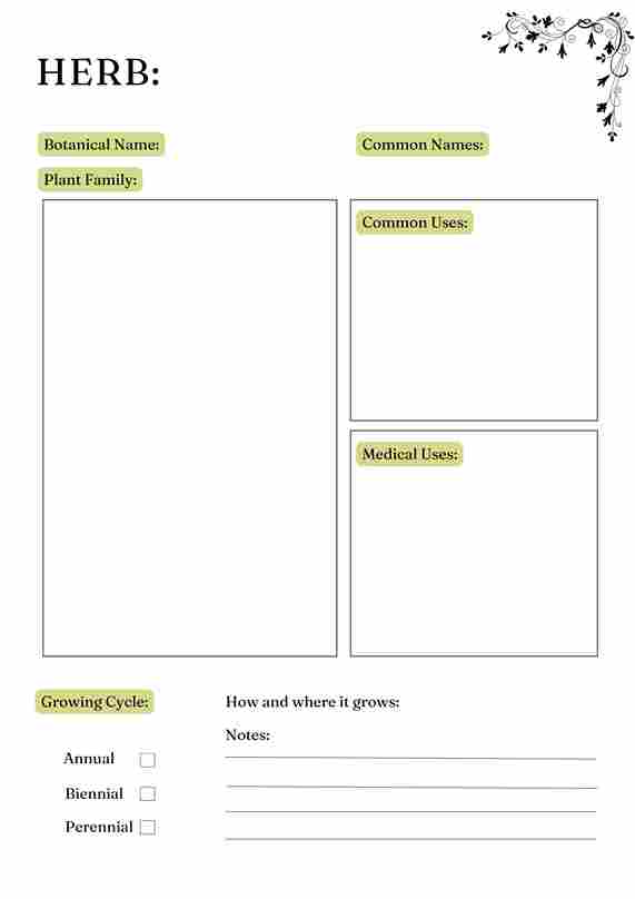 Herbs and Essential Oils Planner - Image 5