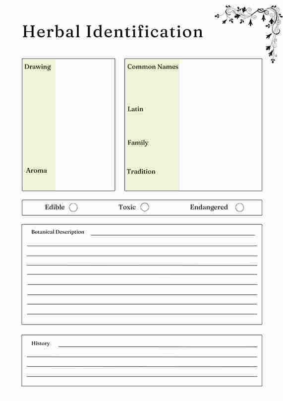 Herbs and Essential Oils Planner - Image 4
