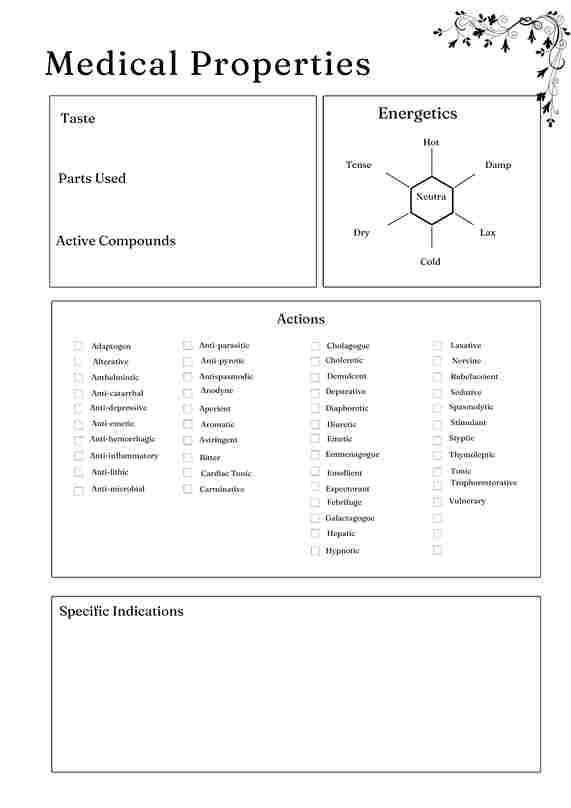 Herbs and Essential Oils Planner - Image 2