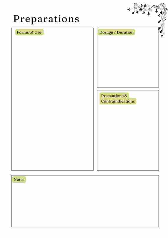 Herbs and Essential Oils Planner - Image 3