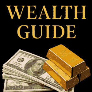 THE WEALTH GUIDE