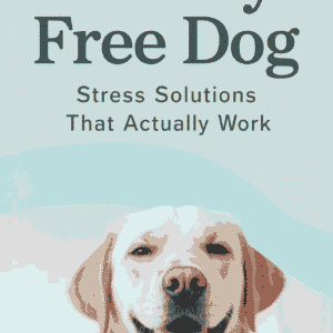 Anxiety-Free Dog: Stress Solutions That Actually Work